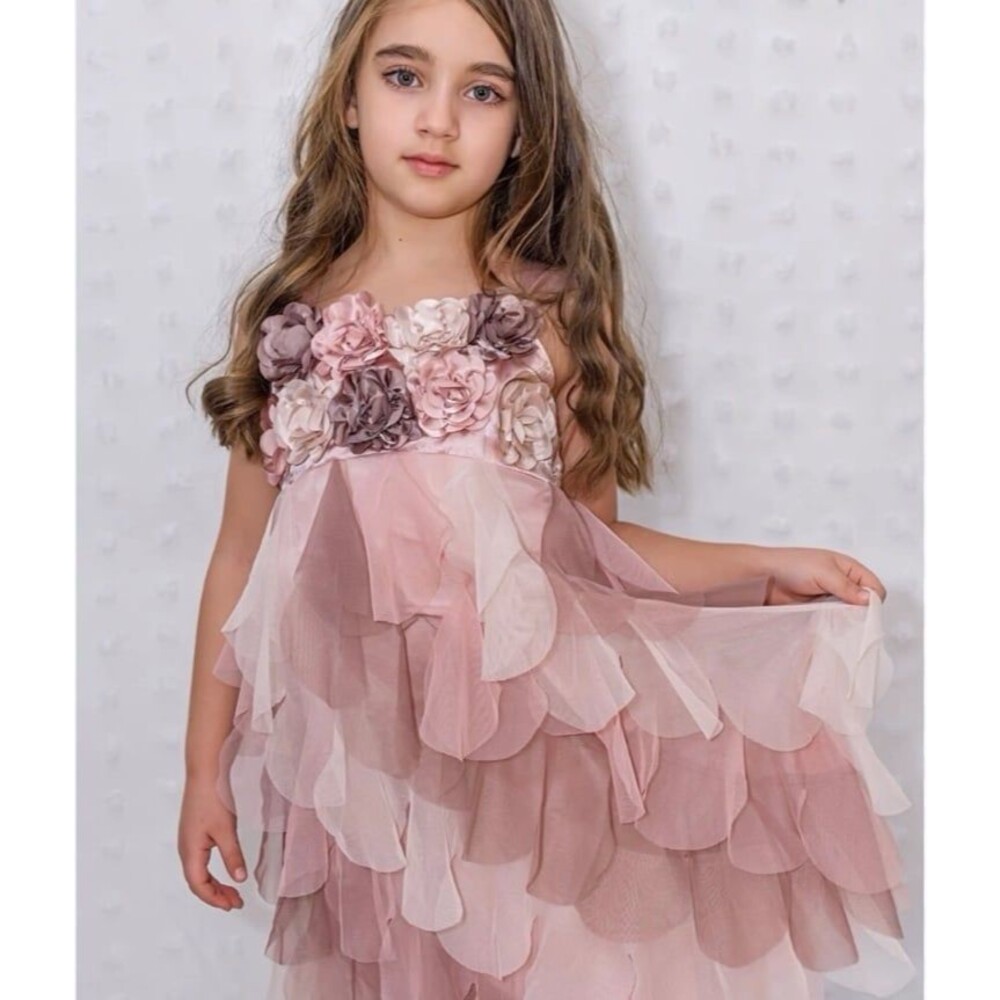 Biscotti Dress Flower Rosette Bodice & Tulle Flow Skirt Girl’s Size 7 Blush Pink